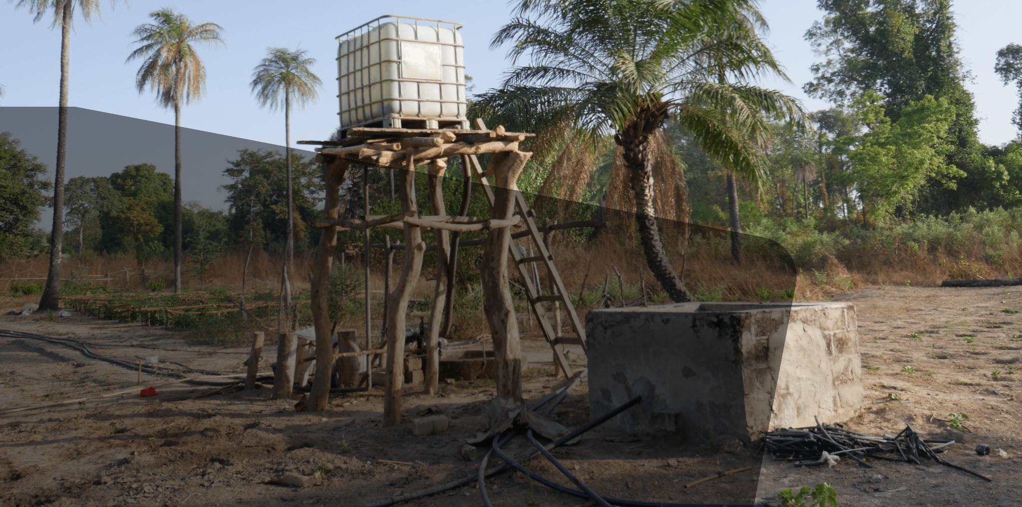 Bienvenue en Casamance !